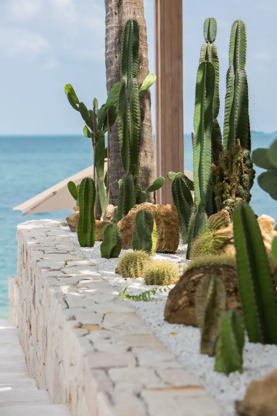 Columnar cacti and succulents in a raised stone planter, with the sea and a parasol behind.